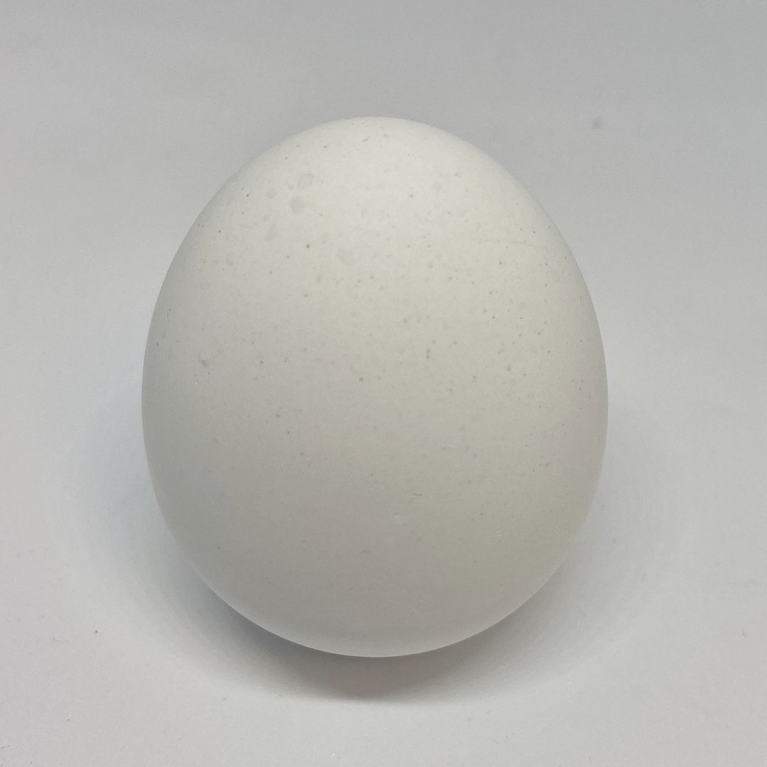 egg-antiodeur1-1080