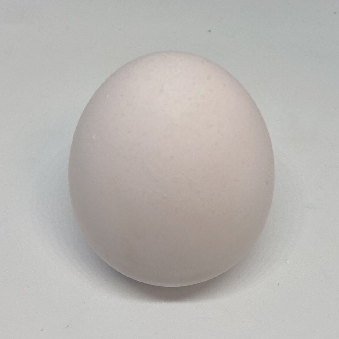egg-antiodeur3-1080